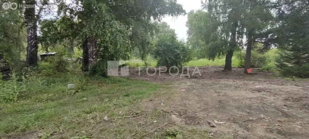 Участок в Новоалтайск, посёлок Новогорский, улица Строителей (9.64 м) - Фото 1