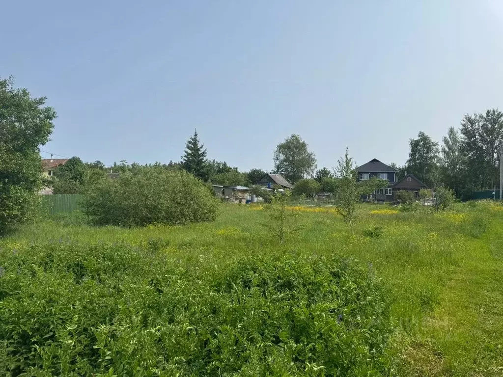 Участок в Московская область, Солнечногорск городской округ, д. ... - Фото 1