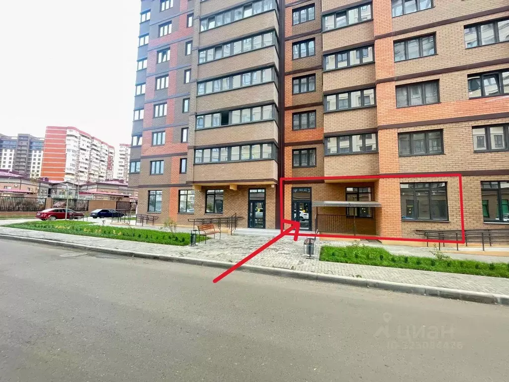 Помещение свободного назначения в Краснодарский край, Краснодар Догма ... - Фото 1