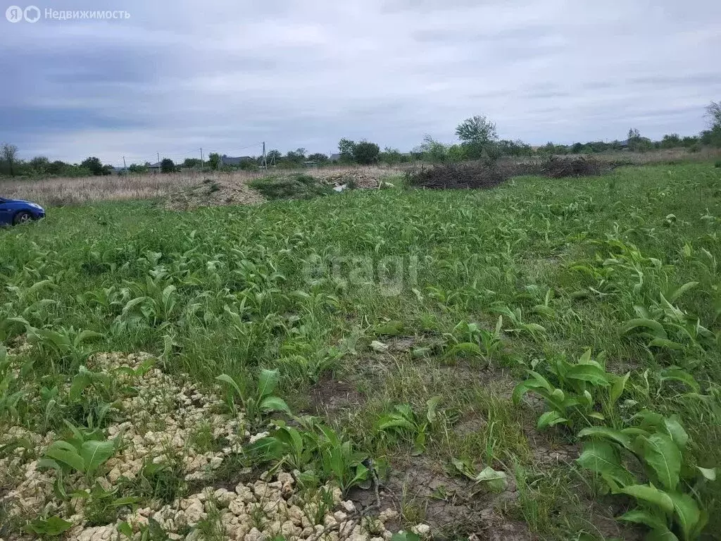 Участок в посёлок Веселовка, Коралловая улица (6 м) - Фото 1