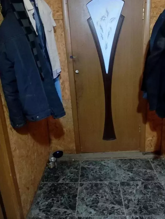 Дом в Московская область, Пушкинский городской округ, д. Михайловское  ... - Фото 2