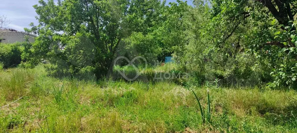 Участок 6 сот. (СНТ, ДНП) - Фото 0