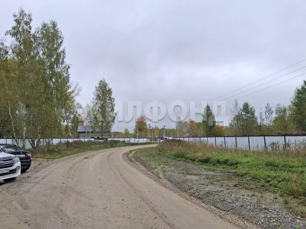 Участок в Новосибирская область, Новосибирский район, Станционный ... - Фото 2