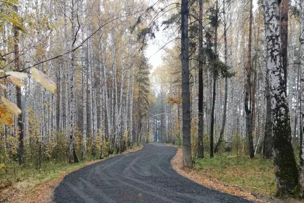 Участок в Свердловская область, Екатеринбург Улесье кп,  (15.0 сот.) - Фото 0