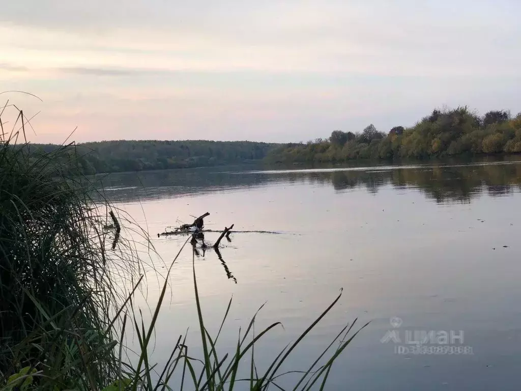 Участок в Владимирская область, Вязниковский район, Мстера ... - Фото 1