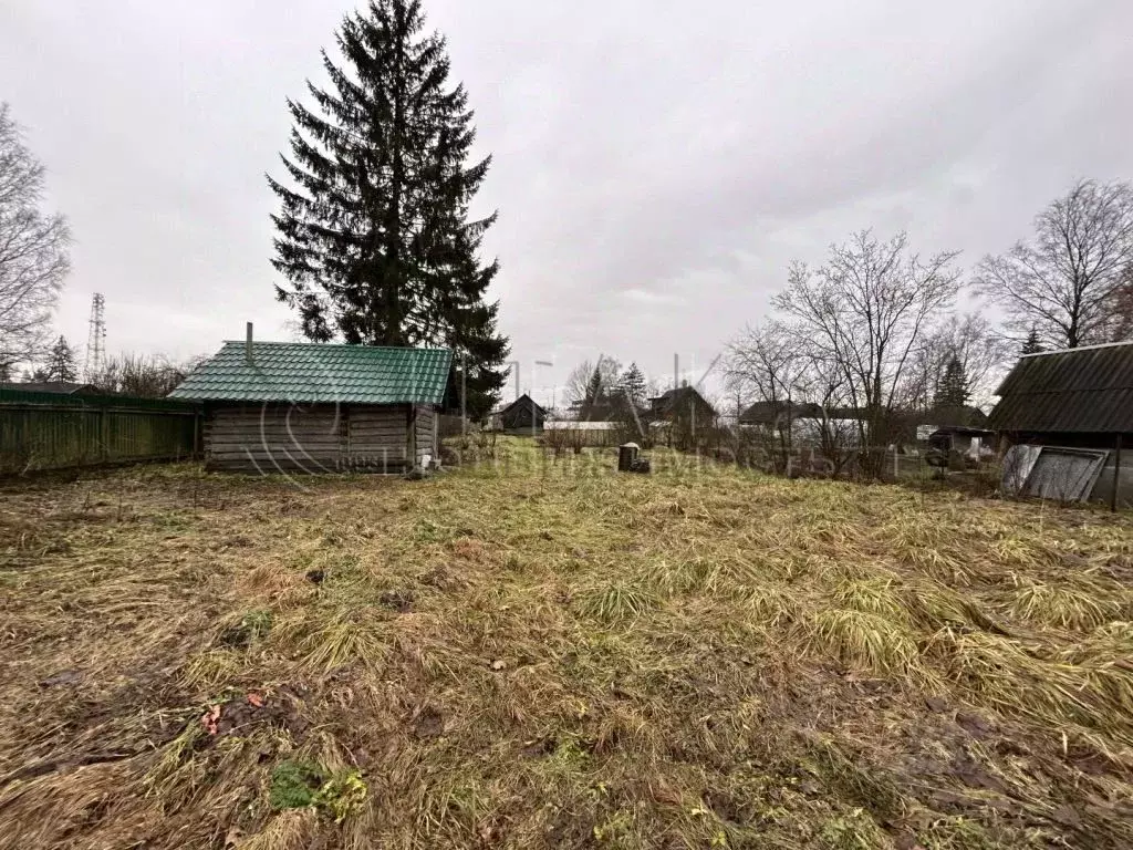 Участок в Ленинградская область, Тосненский район, Тельмановское ... - Фото 1