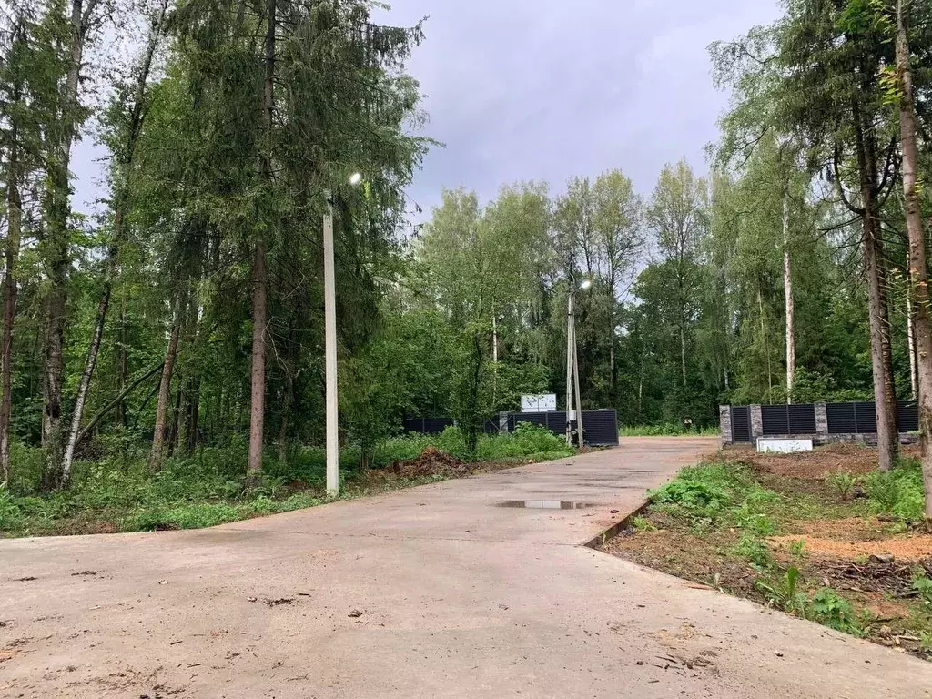 Участок в Московская область, Дмитровский муниципальный округ, д. ... - Фото 1