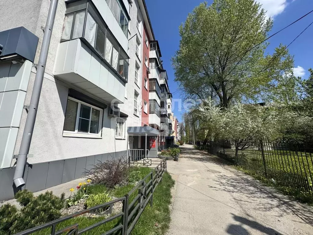 1-к кв. Липецкая область, Липецк просп. Победы, 65А (30.2 м) - Фото 1