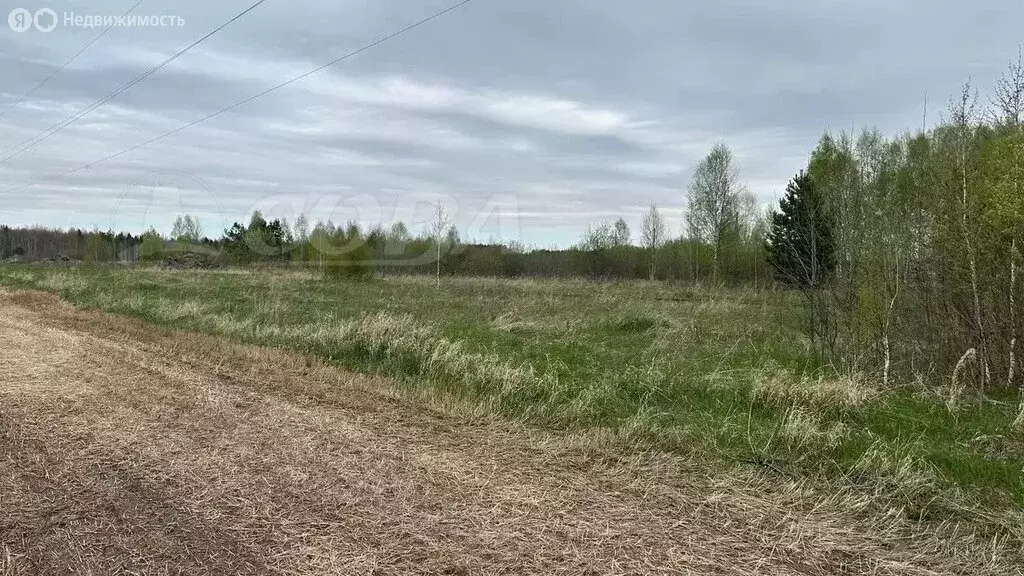 Участок в Свердловская область, Тугулымский муниципальный округ, ... - Фото 1