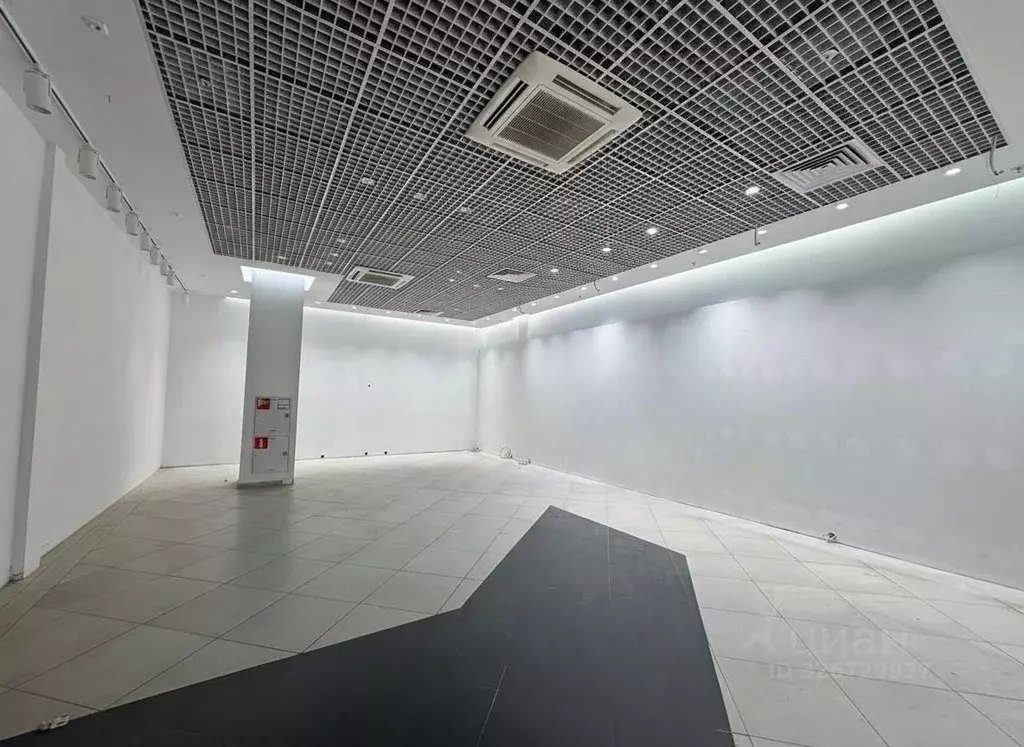 Торговая площадь в Московская область, Щелково Талсинская ул., 6Б (141 ... - Фото 1