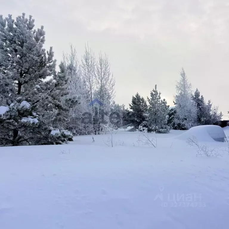 Участок в Татарстан, Верхнеуслонский район, Набережно-Морквашское ... - Фото 1