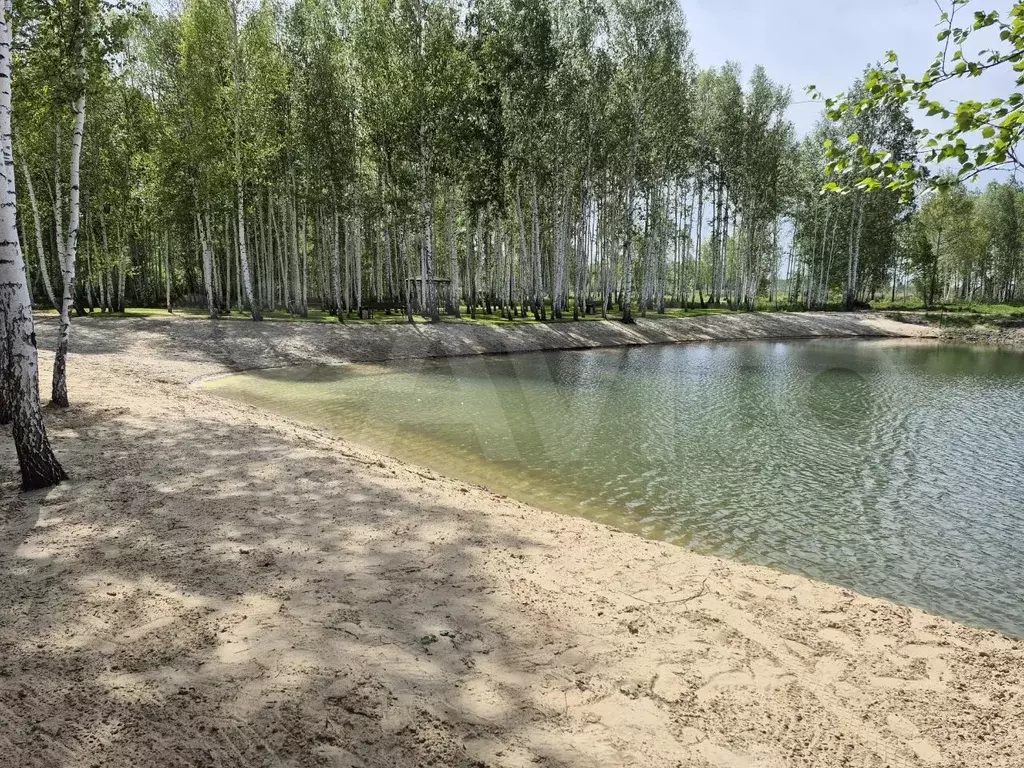Участок 10 сот. (СНТ, ДНП) - Фото 0