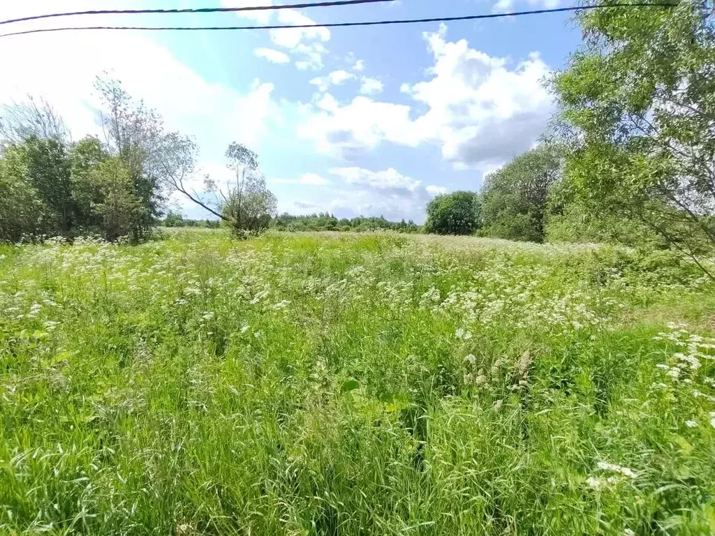 Участок в Вологодская область, Череповец 122-й мкр,  (7.9 сот.) - Фото 1