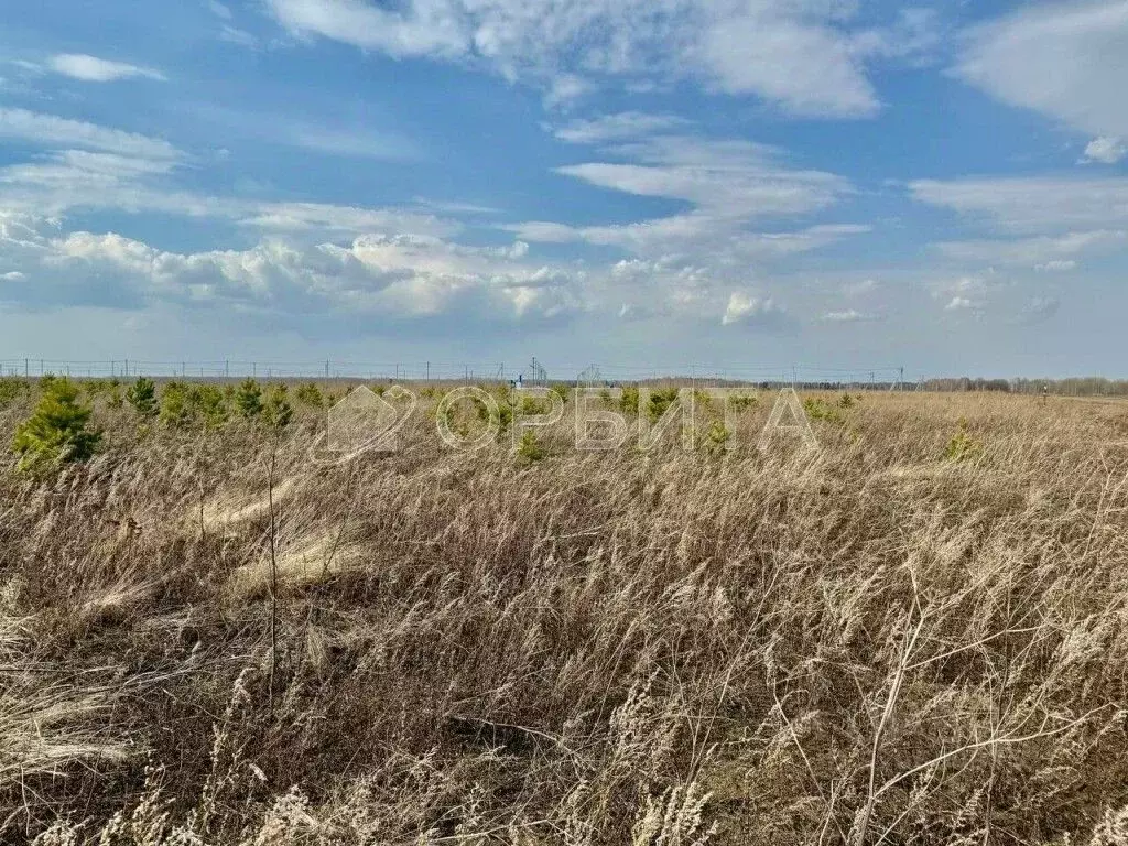 Участок в Тюменская область, Тюменский район, с. Успенка ул. ... - Фото 2