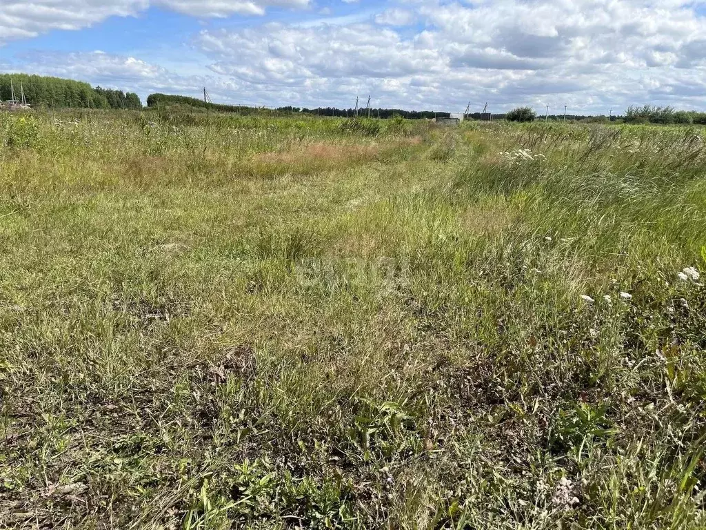 Участок в Тюменская область, Тюменский район, с. Горьковка Сибирская .,  Купить земельный участок Горьковка, Тюменский район, ID объекта -  20006726668