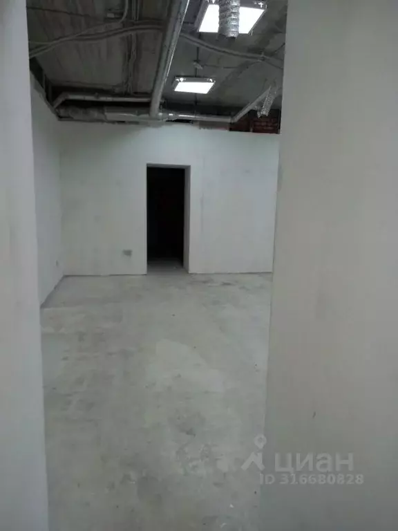 Помещение свободного назначения в Саратовская область, Саратов ул. ... - Фото 1