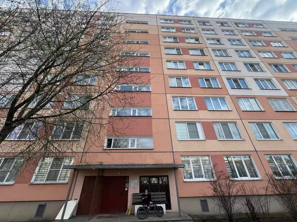 1-комнатная квартира: Санкт-Петербург, улица Турку, 19к1 (29 м) - Фото 1