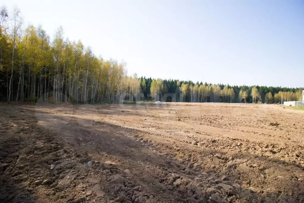 Участок 4,9 сот. (ИЖС) - Фото 0