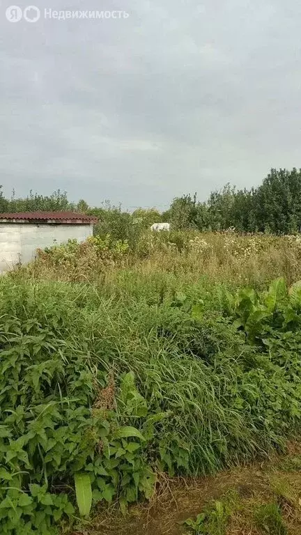 Участок в посёлок Терволово, 4-я линия, 22 (15.7 м) - Фото 1