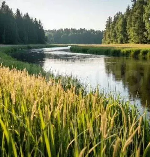 Участок в Тамбовская область, Тамбовский муниципальный округ, ... - Фото 2
