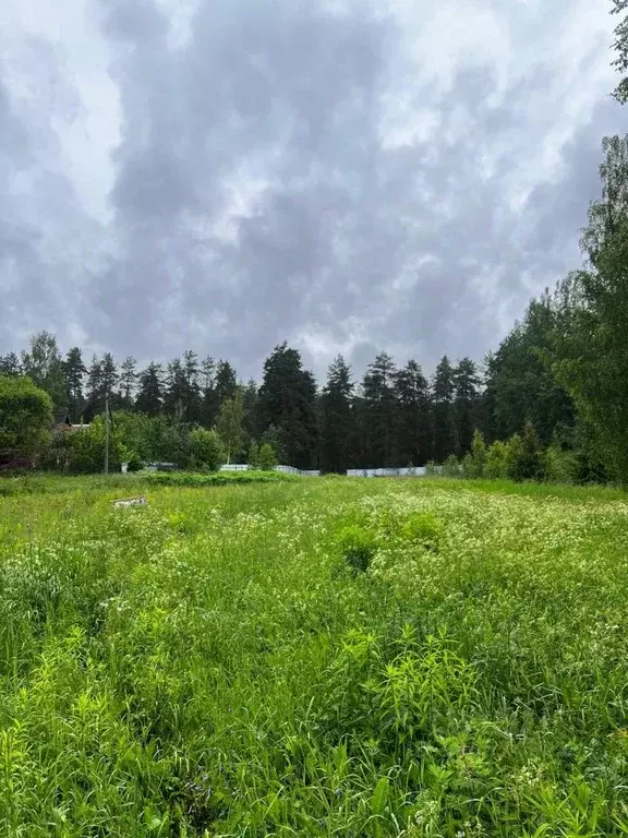 участок в ленинградская область, лужский район, толмачевское городское . - Фото 1