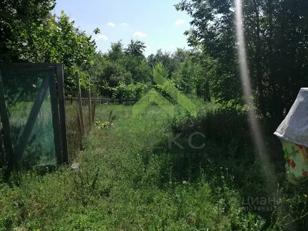 Участок в Воронежская область, с. Новая Усмань ул. Освобождения, 35 ... - Фото 1