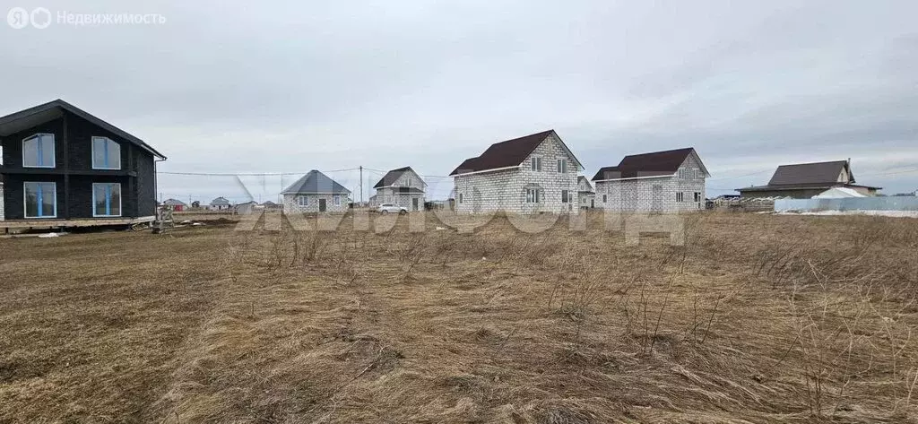 Участок в Толмачёвский сельсовет, деревня Алексеевка, Янтарная улица ... - Фото 2