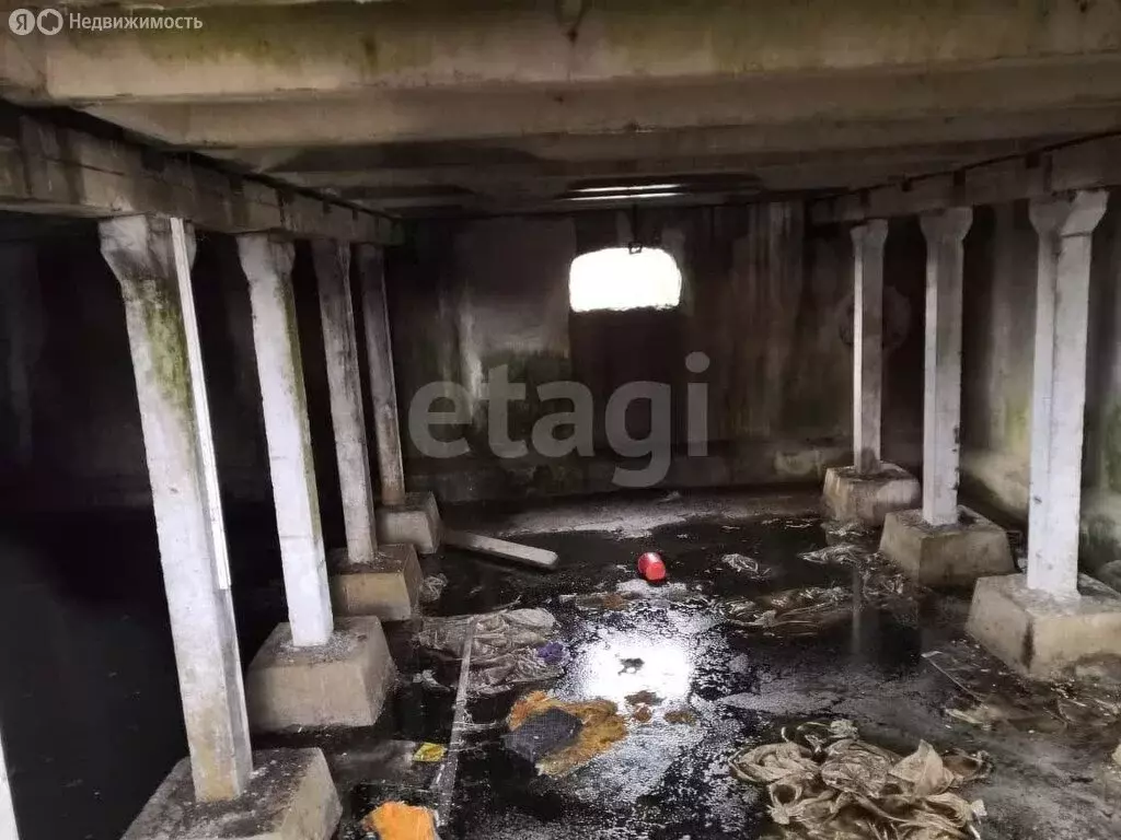 Участок в Ленинградская область, Гатчинский муниципальный округ, ... - Фото 2