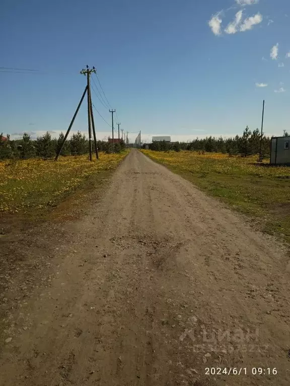 Участок в Свердловская область, Белоярский муниципальный округ, Новое ... - Фото 0