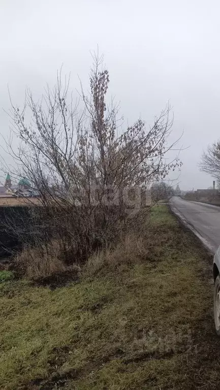 Участок в Мордовия, Саранск городской округ, с. Зыково ул. Советская, ... - Фото 1