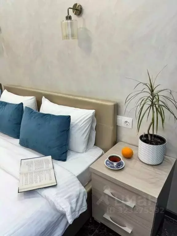 1-к кв. Калининградская область, Зеленоградск ул. Большая Окружная, 4А ... - Фото 2