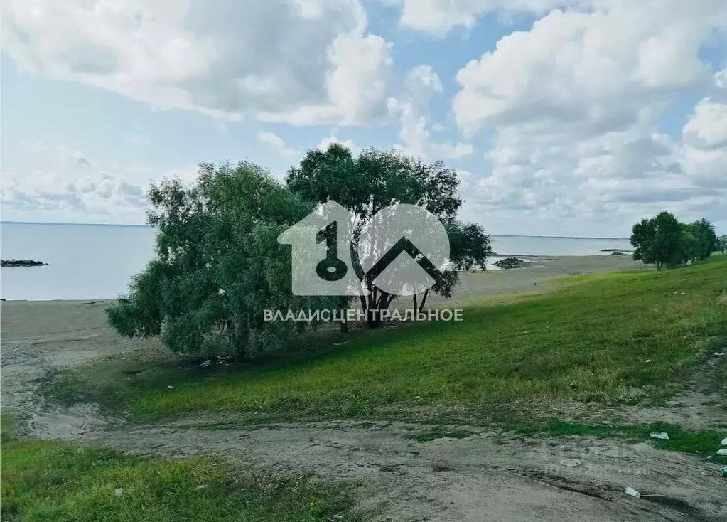 Участок в Новосибирская область, Новосибирский район, Морской ... - Фото 0