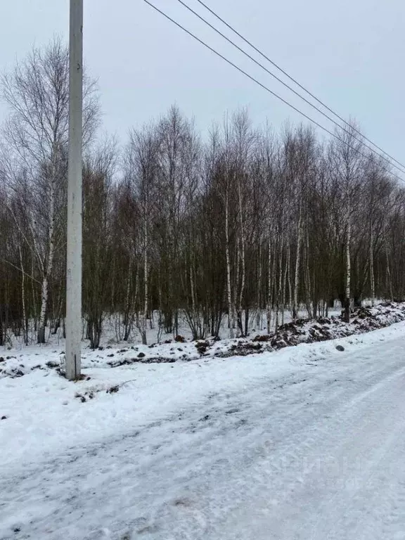 Участок в Московская область, Чехов городской округ, д. Большое ... - Фото 1