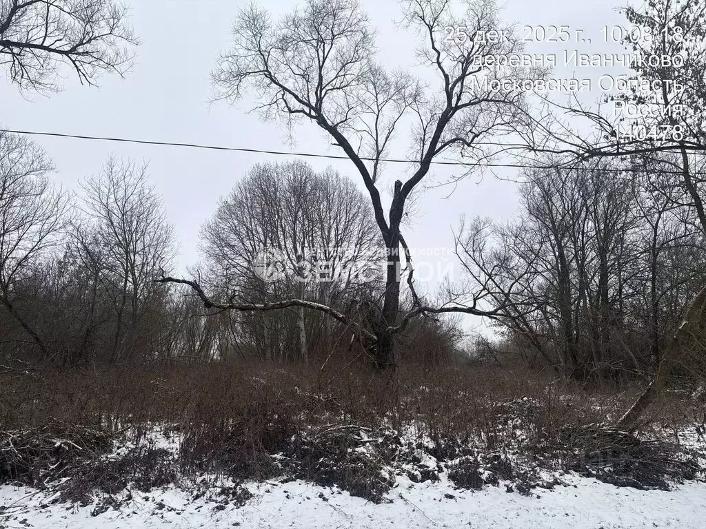 Участок в Московская область, Зарайск муниципальный округ, д. ... - Фото 2