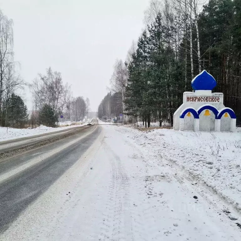 Участок в Ярославская область, Некрасовское рп  (15.0 сот.) - Фото 0