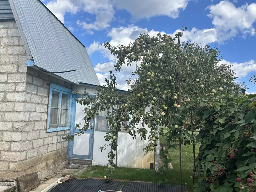 Дом в Самарская область, Тольятти Маячок СНТ,  (23 м) - Фото 2