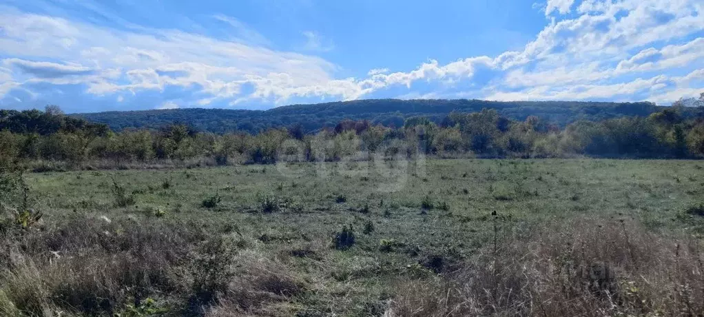 Участок в Адыгея, Майкопский район, пос. Тульский  (5.91 сот.) - Фото 1