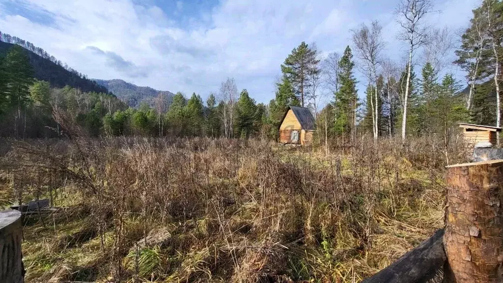 Участок в Алтай, Чемальский район, с. Аскат Солнечная ул., 11 (50.0 ... - Фото 0