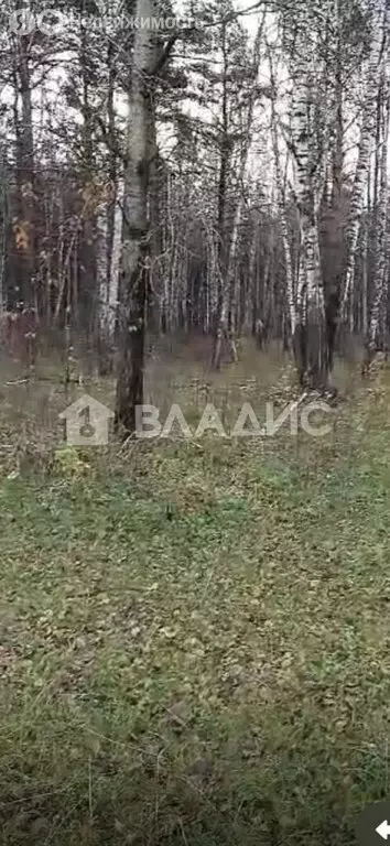 Участок в Барышевский сельсовет, железнодорожная станция Издревая, ... - Фото 1