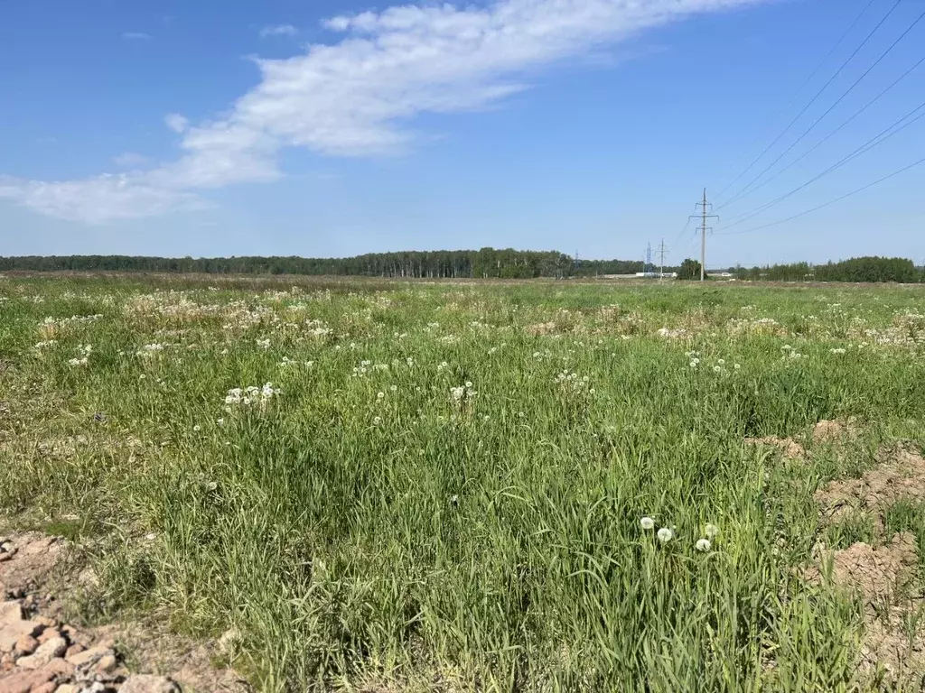 Участок в Московская область, Домодедово Кузьминское Парк кп, 725 (8.0 ... - Фото 1