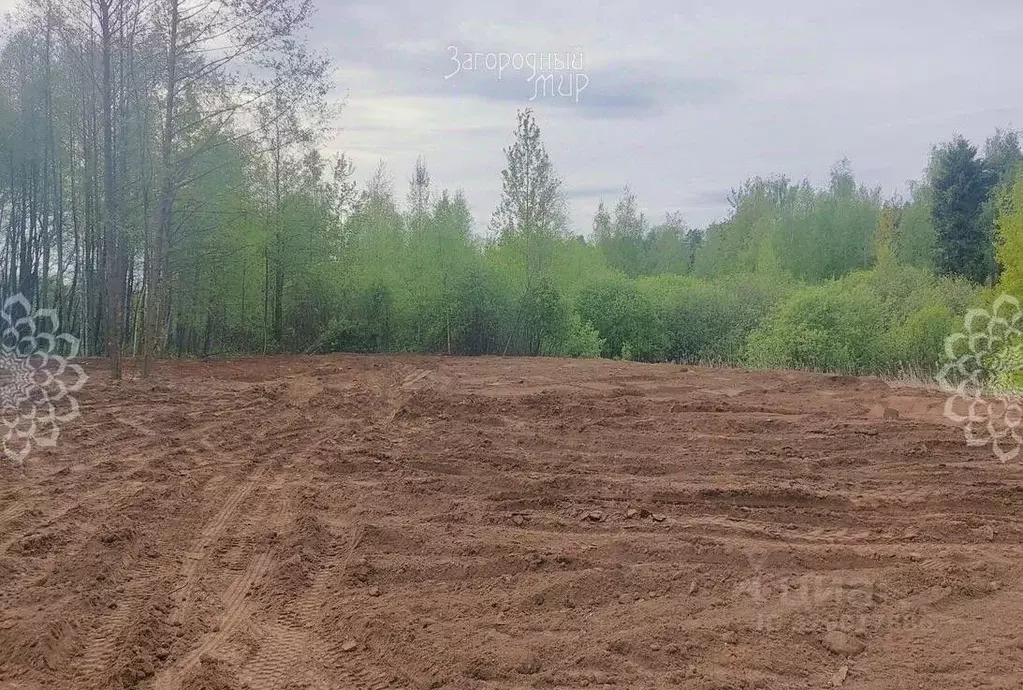 Участок в Московская область, Балашиха Безменково-2 СНТ,  (10.0 сот.) - Фото 1