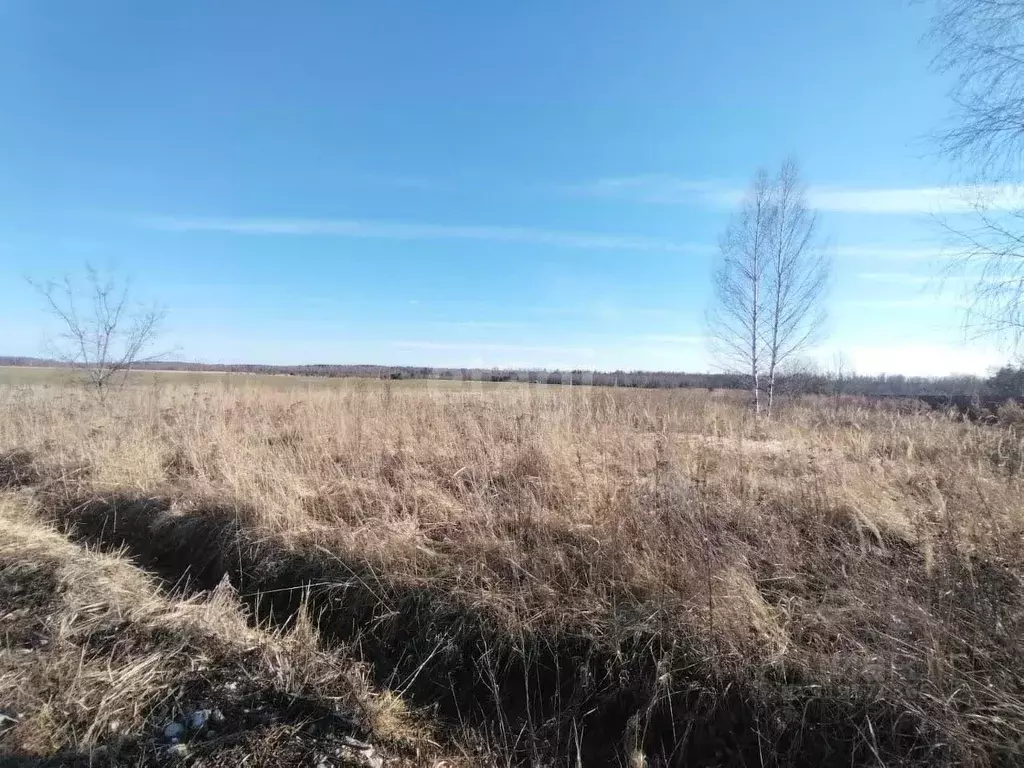 Участок в Владимирская область, Меленковский муниципальный округ, д. ... - Фото 2