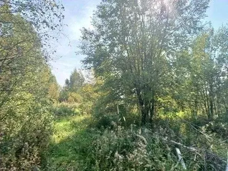 Участок в Московская область, Сергиев Посад ул. 2-я Благовещенская ... - Фото 2