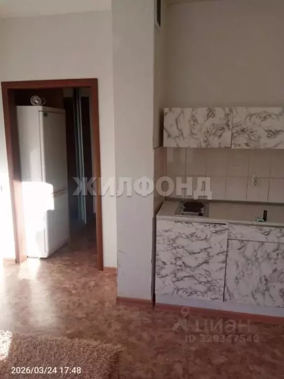 Студия Новосибирская область, Новосибирск ул. Виктора Уса, 11 (19.0 м) - Фото 2