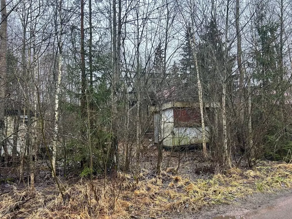 Участок в Ленинградская область, Ломоносовский район, Пениковское ... - Фото 2