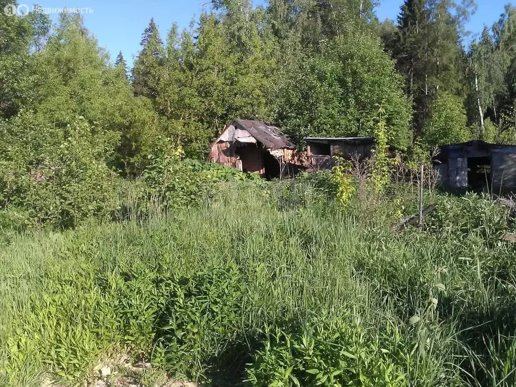 Участок в Новосибирск, территория садоводческого товарищества Импульс ... - Фото 0