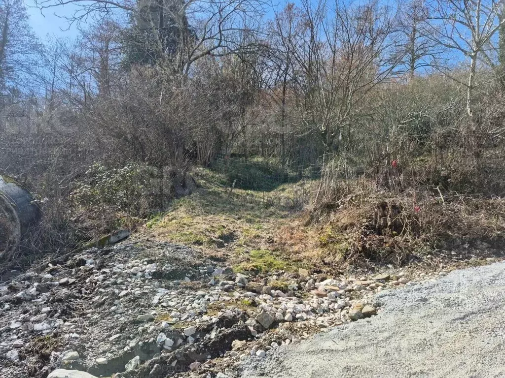 Участок в Краснодарский край, Сочи городской округ, с. Верховское ул. ... - Фото 2