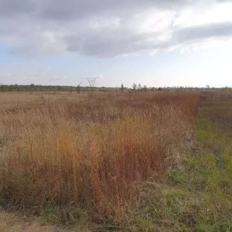 Участок в Воронежская область, Новоусманский район, Усманское 1-е ... - Фото 1