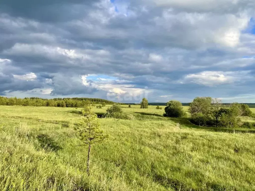 Участок в Ульяновская область, Тереньгульский район, Подкуровское ... - Фото 1