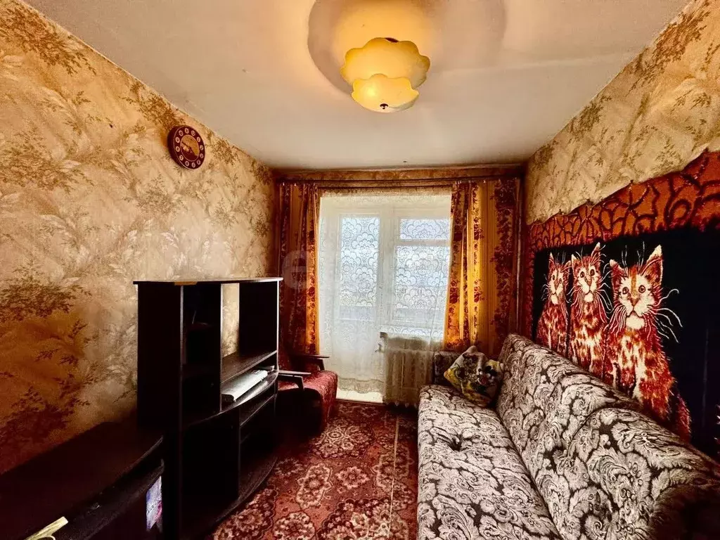 3-к кв. Владимирская область, Петушки Трудовая ул., 4 (65.9 м) - Фото 1